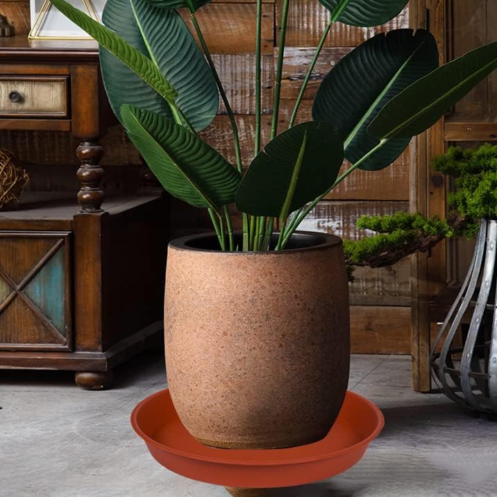 Bleuhome 2 Pack of 18 19 inch Plant Saucer Tray (16.5 inch Base), 2.7" Depth, Heavy Duty Plastic Saucer 19" Round, Plant Tray for Pots, Flower Plant Saucers for Indoors (19 inch, Terracotta) - Image 5
